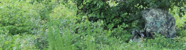 transitionalvartersumm